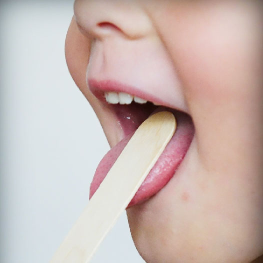 Bildleiste 01 Bildleiste 01