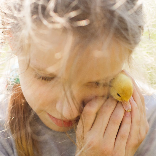 Bildleiste 04 Bildleiste 04