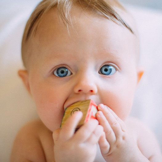 Bildleiste 06 Bildleiste 06